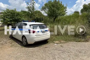 Ηλεία: Συνελήφθη για άσκοπους πυροβολισμούς
