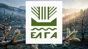 Μήλα – αποζημιώσεις παγετού: Δείτε τι ισχύει σε απλά Ελληνικά