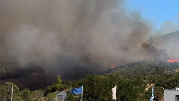 Ενισχύθηκαν οι δυνάμεις στην Καβάλα - Χωρίς ενεργό μέτωπο οι φωτιές στην Ηλεία