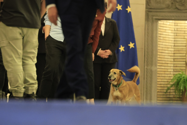 Ο Πίνατ κάνει διεθνή καριέρα: Έκλεψε την παράσταση στη συνάντηση Μητσοτάκη - Ρούμπιο (Εικόνες)