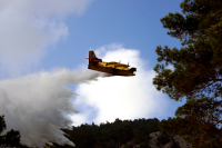 Χαλκιδική: Οριοθετήθηκε η φωτιά στο Γομάτι