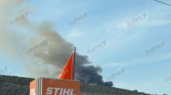 Φωτιά τώρα στο Μαραθώνα