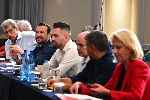 Ο Πολάκης πάει για αρχηγός