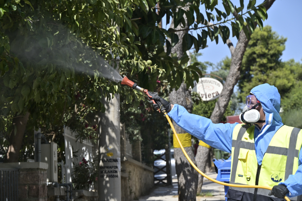 Ιός Δυτικού Νείλου: Δύσκολος Σεπτέμβριος για την Αττική, σε μεγαλύτερο ποσοστό μολυσμένα τα κουνούπια φέτος