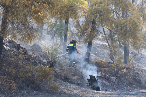 Φωτιές: 9 στις 10 οφείλονται σε αμέλεια - Νέες συλλήψεις και πρόστιμα