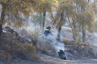 Φωτιές: 9 στις 10 οφείλονται σε αμέλεια - Νέες συλλήψεις και πρόστιμα