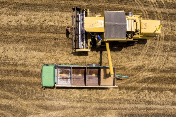 ΥΠΑΑΤ-ΑΑΔΕ: Νέες βελτιώσεις στο myAGRO - Τι ισχύει για τους ΚΑΕΚ, αλλαγές σε προθεσμίες