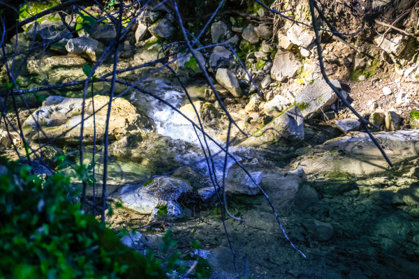 Μυστήριο για τον τρόπο που έχασε την ζωή της η 18χρονη στους καταρράκτες Δερματά - Είχε πάει για φωτογραφίες