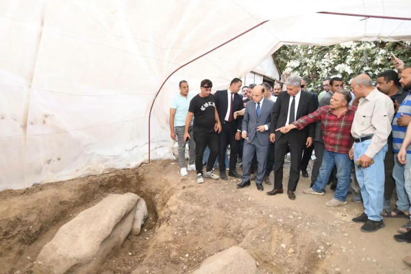 Από μια «παράξενη» πέτρα στην αποκάλυψη κολοσσιαίων αγαλμάτων του Ραμσή Β΄: Αιγύπτιος αγρότης βρήκε αρχαίους θησαυρούς στο χωράφι του